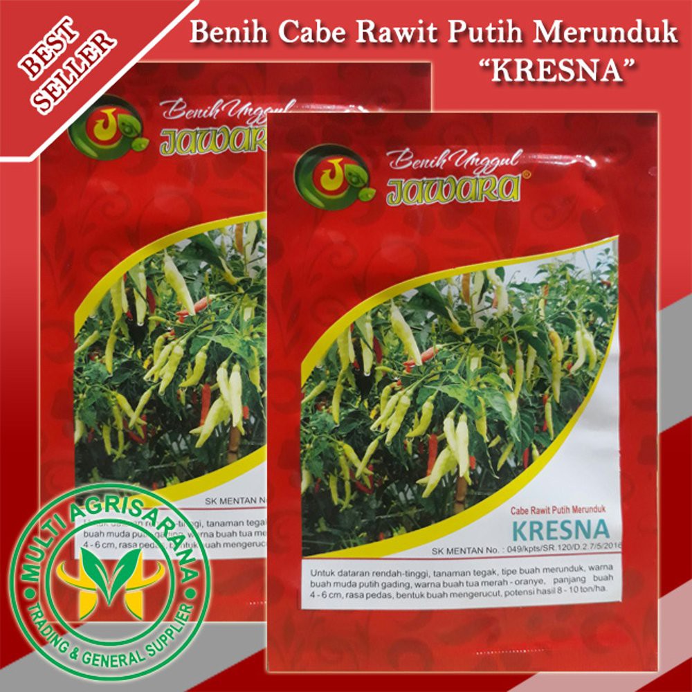 Benih Cabe Rawit Putih Merunduk KRESNA Berkualitas