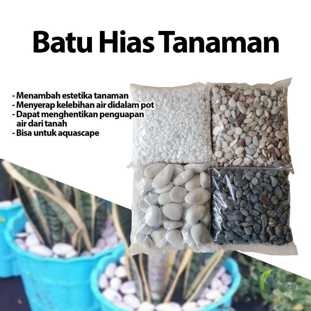 Batu Hias Tanaman Koral Ampyang Italy 500gr PG KDR