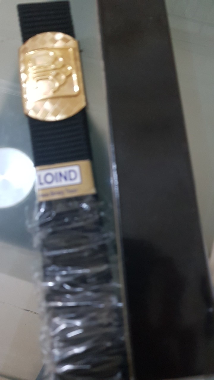 Pin Bivakmut Kemenkumham