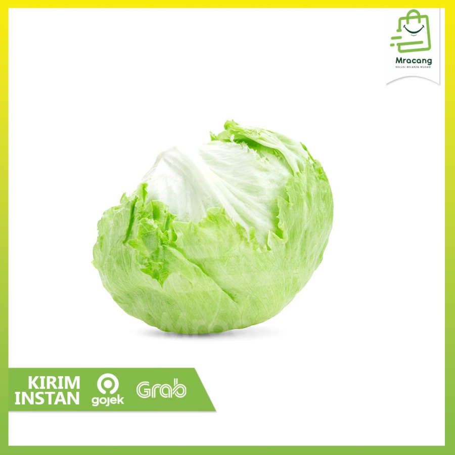 Lettuce - 1pcs