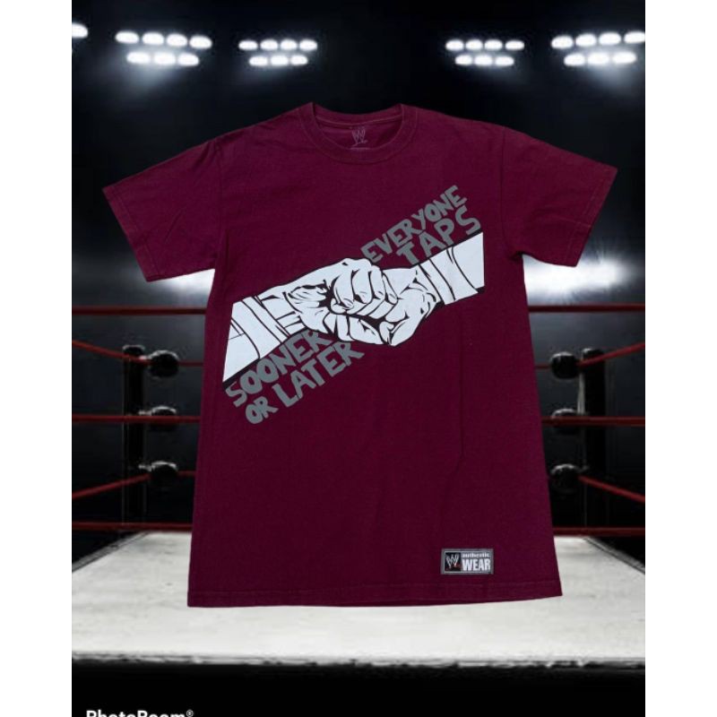 Kaos Daniel Bryan wwe