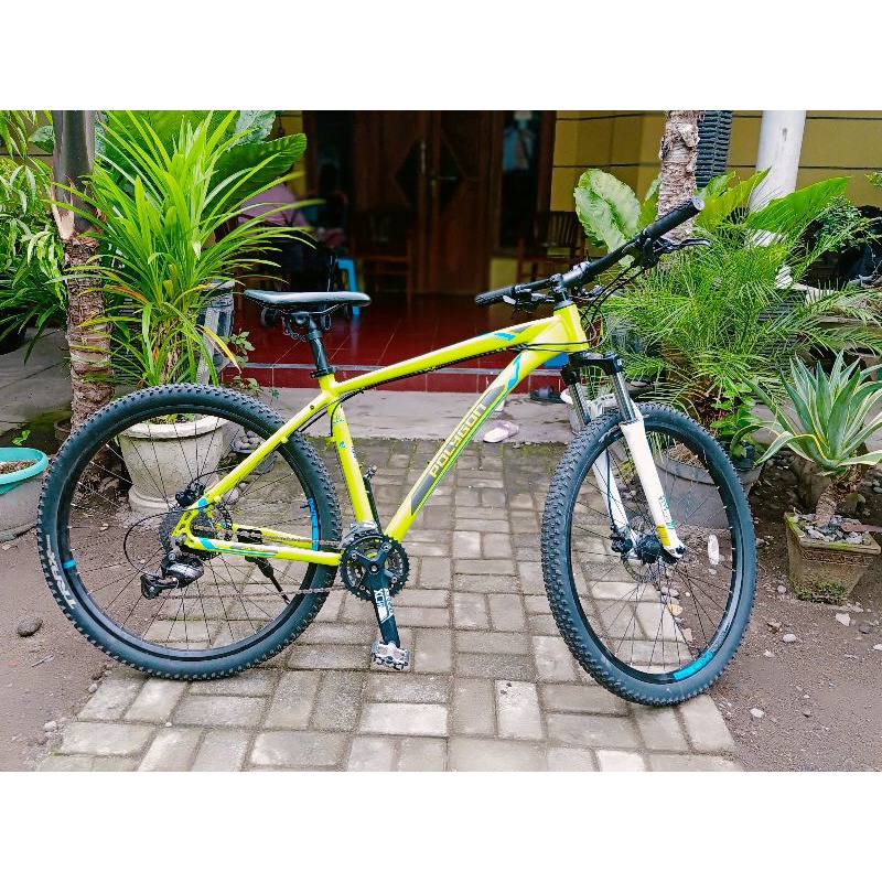 Polygon Xtrada 3 limited edition