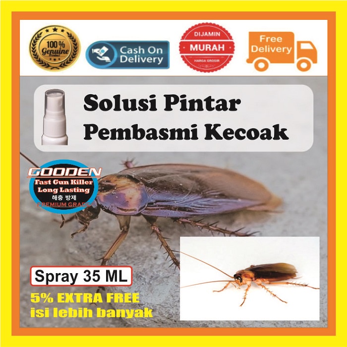 Jual Obat Anti Kecoa Paling Ampuh, Cairan Racun Semprot Pembunuh