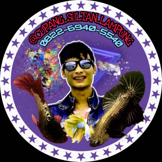 cupang_sultan_lampung
