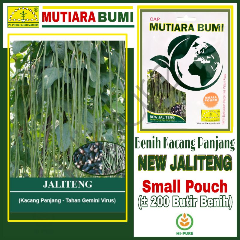 BENIH KACANG PANJANG NEW JALITENG ISI 200 BUTIR BENIH TAHAN GEMINI VIRUS ORIGINAL CAP MUTIARA BUMI