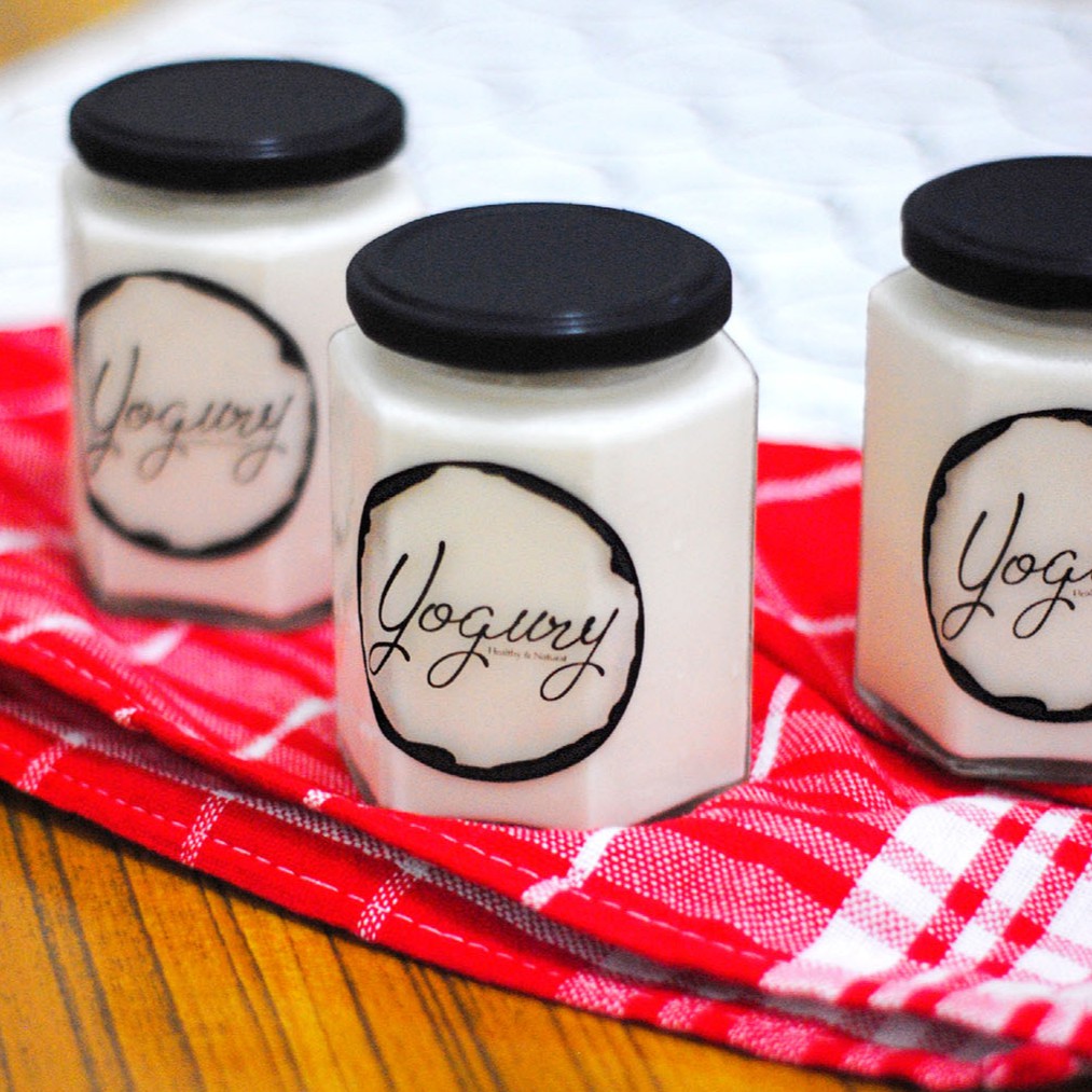 

Yogury Homemade Premium Yogurt - Plain non Artificial tanpa bahan pengawet