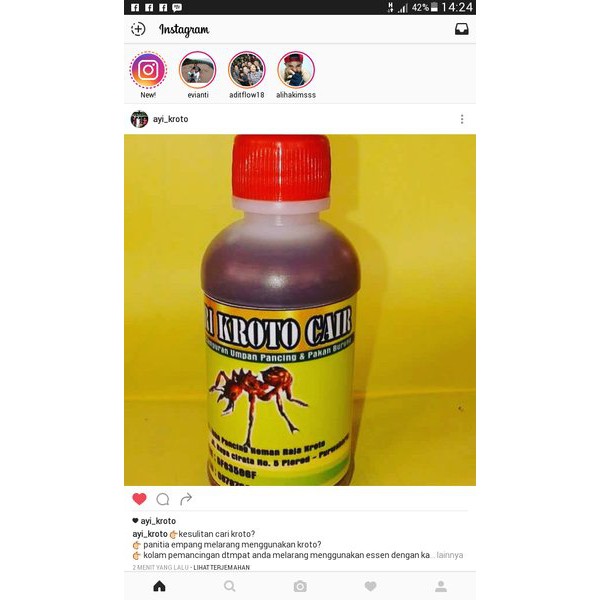 SARI KROTO CAIR(PENGGANTI KROTO)     produk  RAJA KROTO