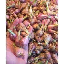 

BAWANG SUMENEP SUPER - SAYUR SAYURAN SEGAR PURWAKARTA
