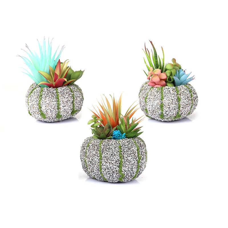 

Ecentio Tanaman succulent desktop set tanaman pot/Bunga Plastik/Bunga Imitasi/Bunga Hias