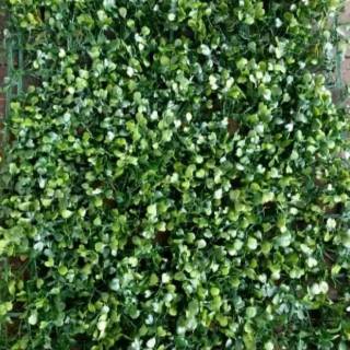 Tanaman Hias Rambat Dolar Sintetis Artificial Daun Hiasan Tanaman Hias Rambat Dolar Sintetis Artificial Daun Hiasan