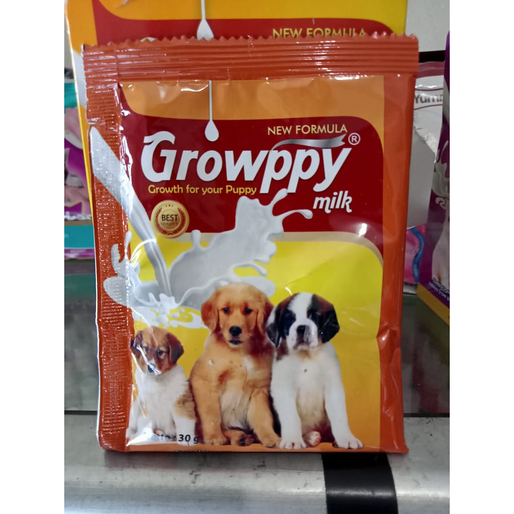 susu bubuk growppy untuk anak anjing