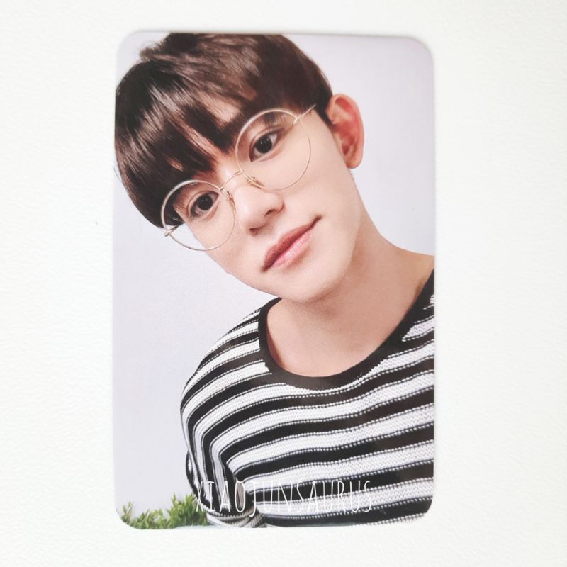 lucas fansign owhat kick back round 2