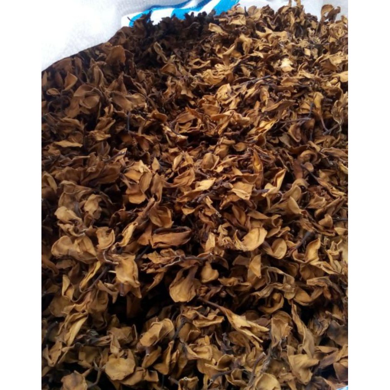 

1KG BUNGA KAMBOJA KERING