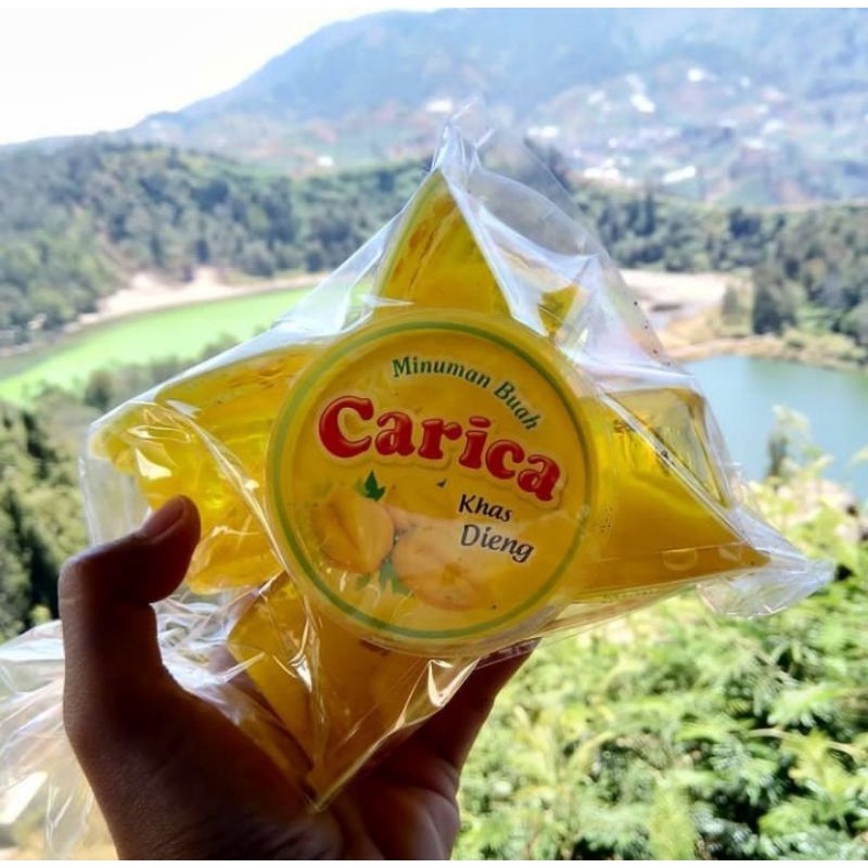 

Manisan Carika Khas Dieng | 6 cup | 100% tanpa bahan pengawet&100% gula asli