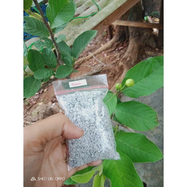 Pupuk Buah dan bunga,pupuk anti rontok , penyubur
