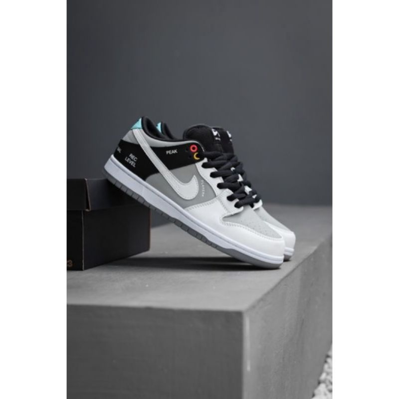 NIKE SB DUNK LOW VX1000 CAMCORDER