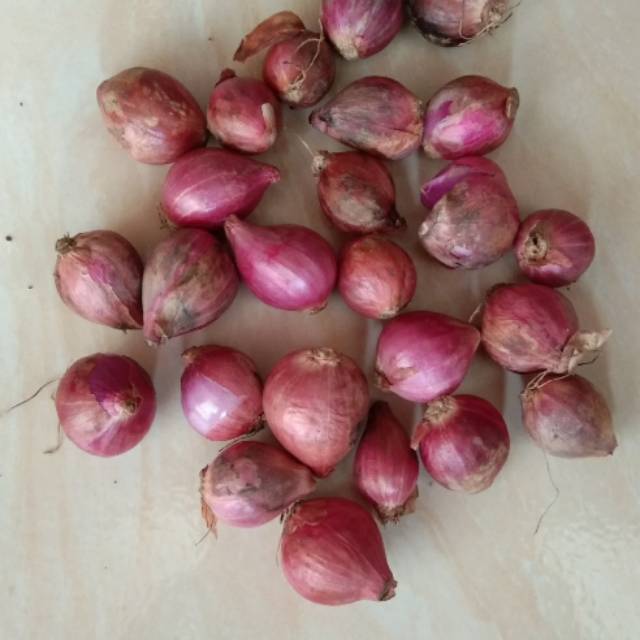 

Bawang merah