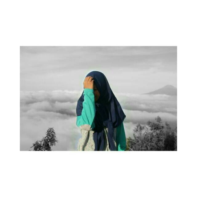 ila_inas