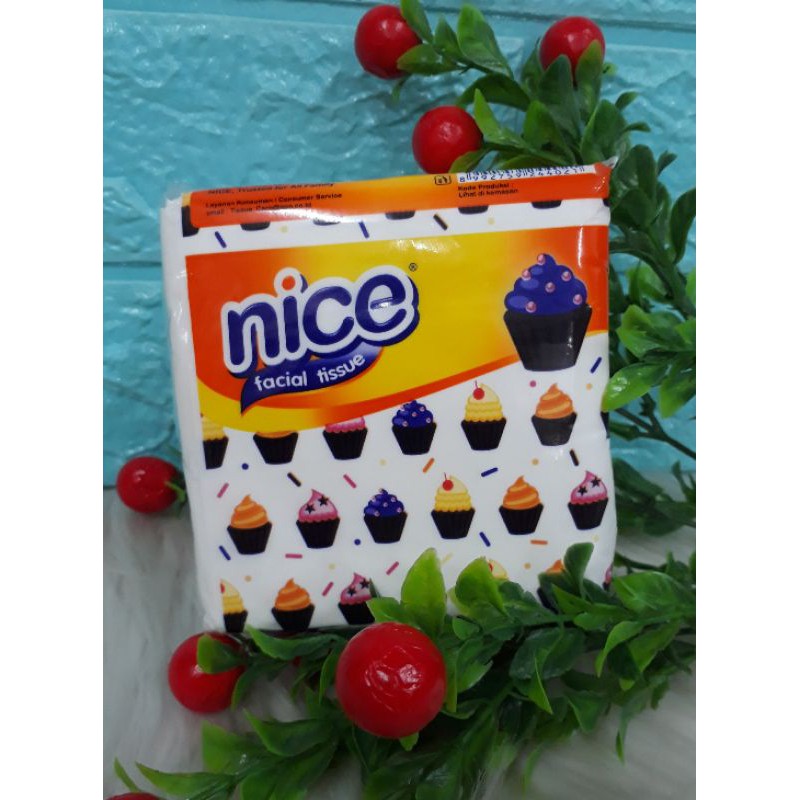 NICE FACIAL TISSUE 200SHEET 2PLY