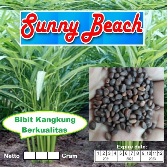 Bibit Kangkung Berkualitas Kemasan Derigen| Benih Kangkung | Biji Bibit Kangkung