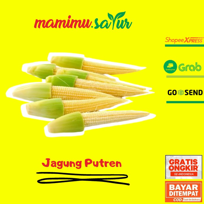 

JAGUNG PUTREN JAGUNG BAYI KECIL JAGUNG BABY PUTEREN SAYUR SAYURAN FRESH SEGAR PASAR ONLINE - 1 KG