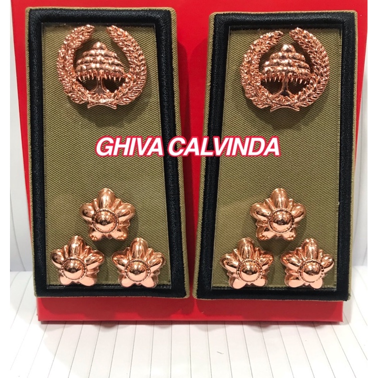 PANGKAT PNS BENGKULU GOL 2C