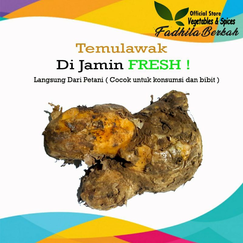 

TEMULAWAK FRESH 1 KG