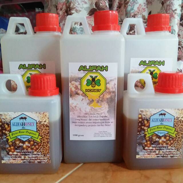 

Madu lanceng trigona