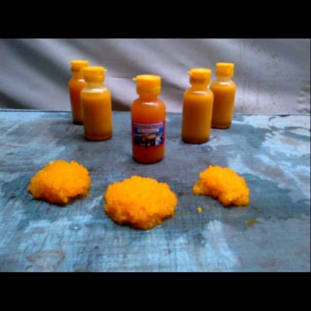 Essen Telur Ikan Sapu Sapu 50ml