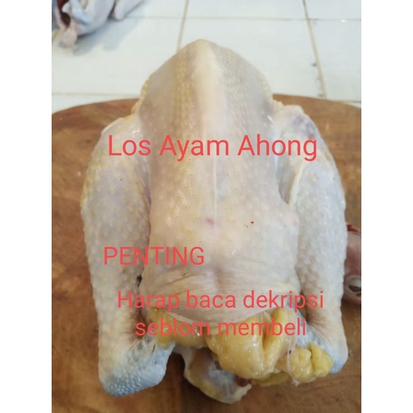 

Ayam kampung Asli Fresh Berat bersih 801-900 gram