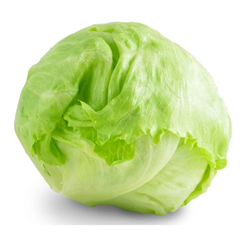 

Bisa Kirim Instan - Lettuce Segar