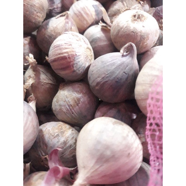 

Bawang Putih Tunggal Super Lanang 1Kg Asli Aman konsumsi