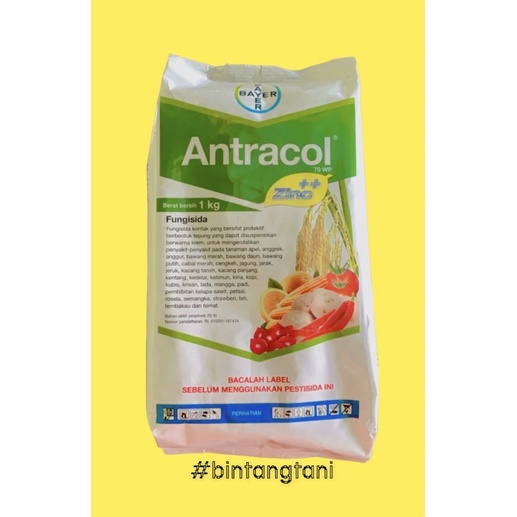 fungisida antracol 1 kg