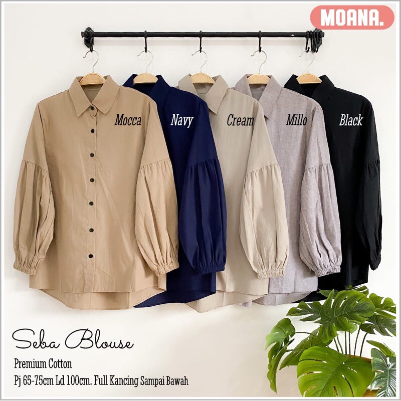 *SEBA BLOUSE*