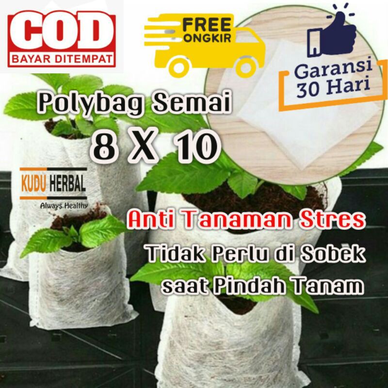 Polybag Polibag Polibek Polibeg I Plastik Polibag Tanaman Semai Biodegradable 8X10