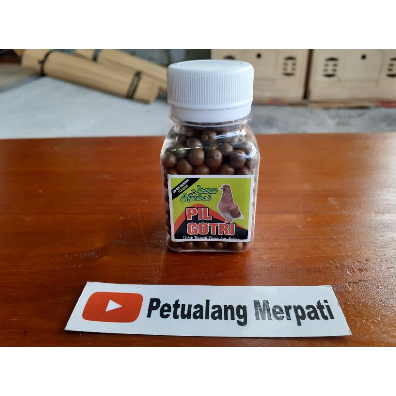 Pil Gotri Terbang