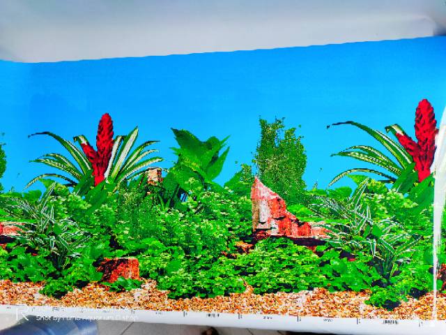 Gambar background hiasan dinding Aquarium tinggi 50cm panjang 1 meter