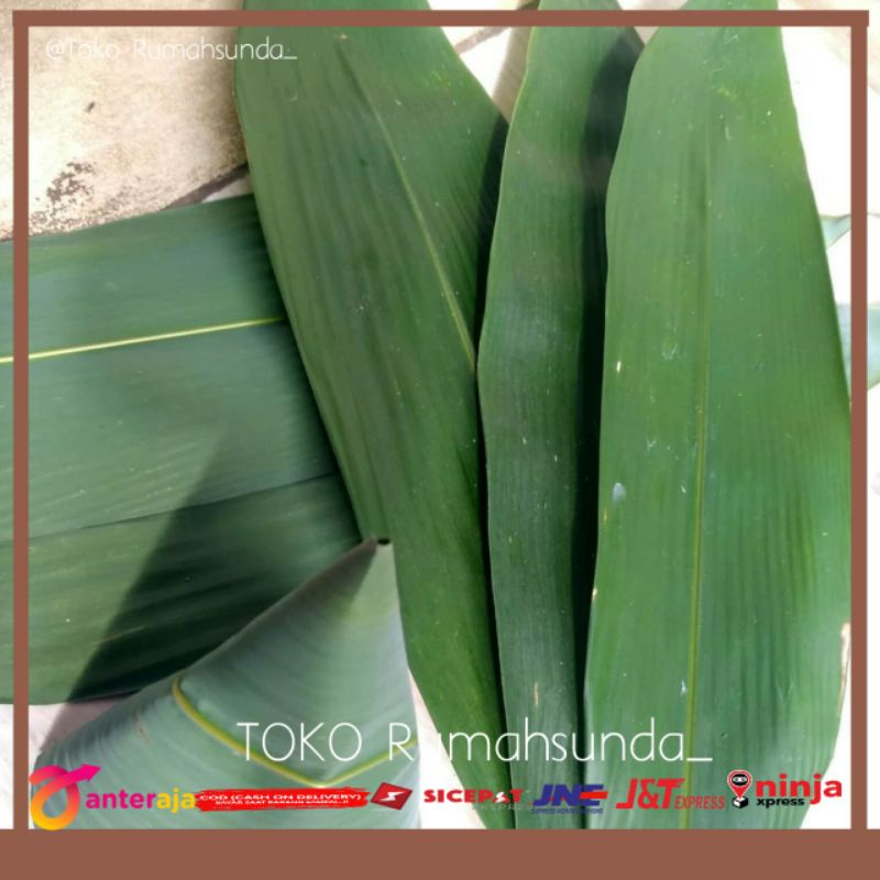 

Daun bambu segar bungkus bakcang big size perhelai