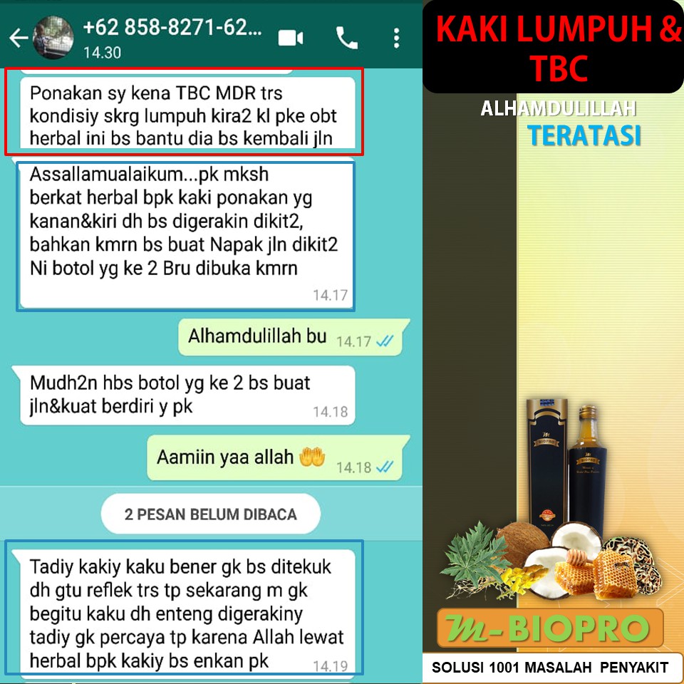 TERBUKTI AMPUH  M BIOPRO Obat TBC Kelenjar | Gejala TBC | Pengobatan TBC Dengan M BIO PRO