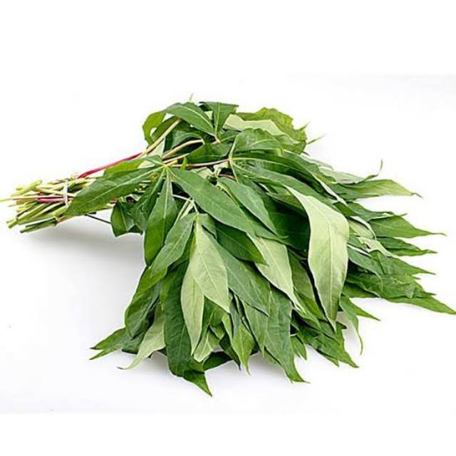 

Daun Singkong