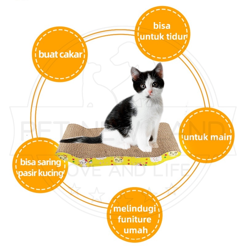 Mainan Papan Garukan Kucing Cat Toys Mainan Hewan Peliharaan