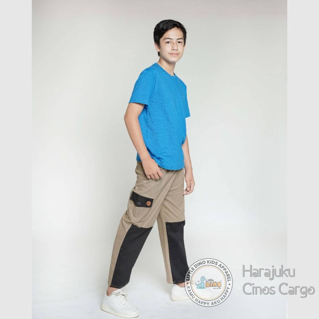 Celana Harajuku Cargo Pants