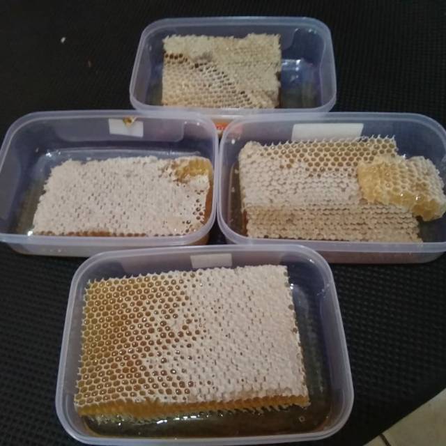 

Madu sarang melifera