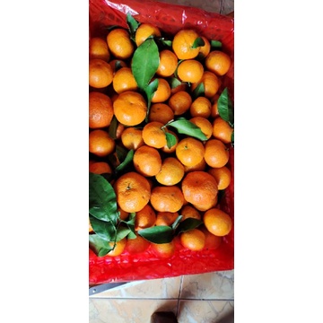 

jeruk shantang brand random 1krat isi 6kg (berat timbang)