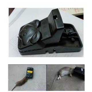 Jebakan Perangkap Tikus Black Cat Mouse Trap