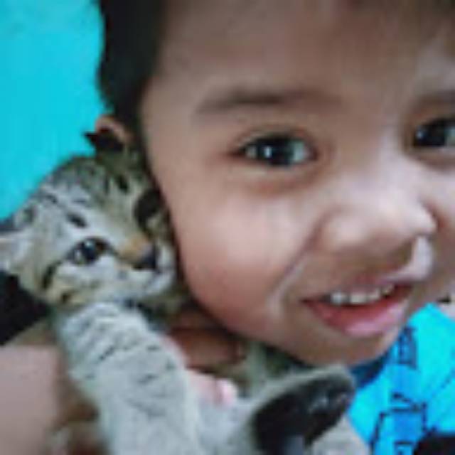umik_ibnu