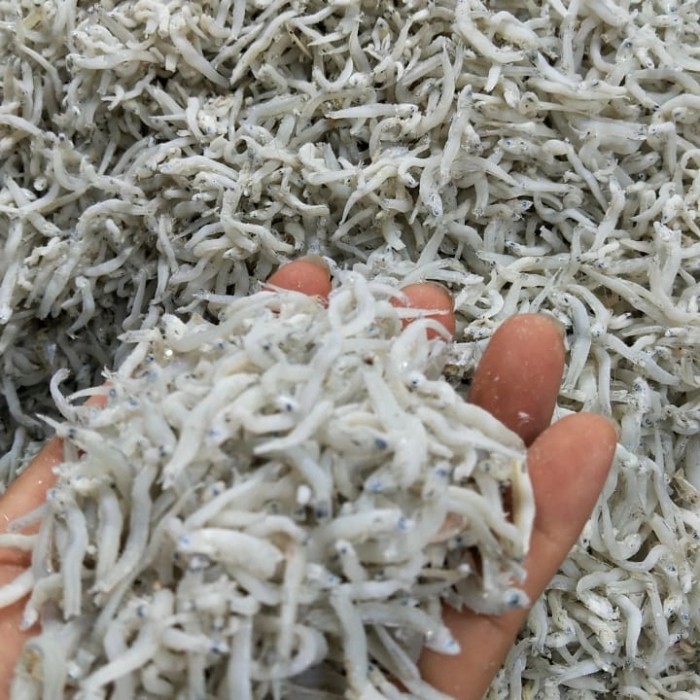 

Teri asli dari medan