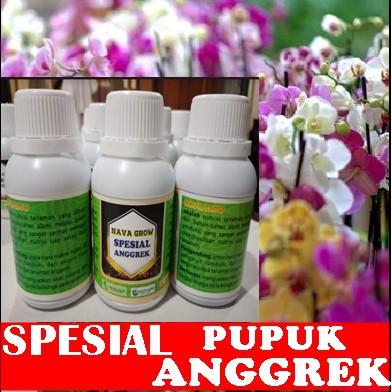 Pupuk Anggrek Bulan
