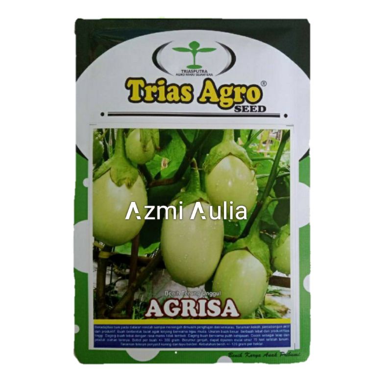Benih Terong Hijau Pondoh AGRISA 10gram Bibit Terong Benih Terong Pondoh Benih Terong Pondoh Hijau B