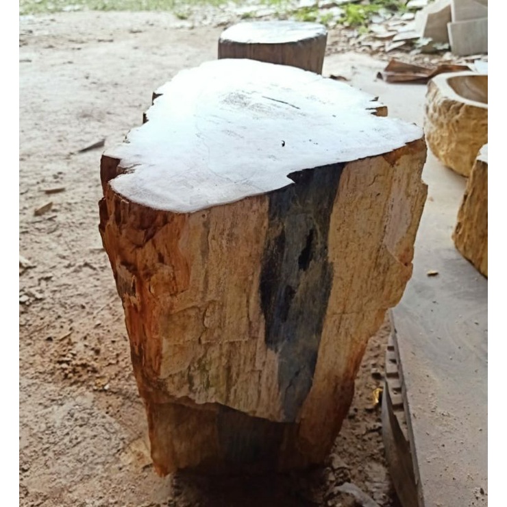 Kursi Batu Fosil Kayu
